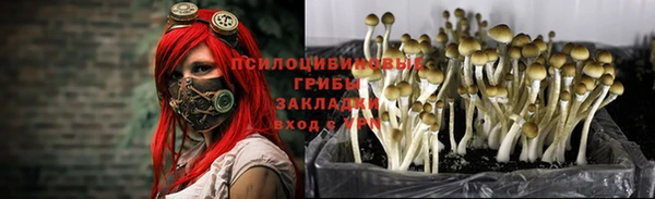 прущая мука Магадан