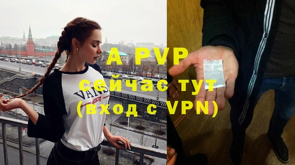 трава Магас