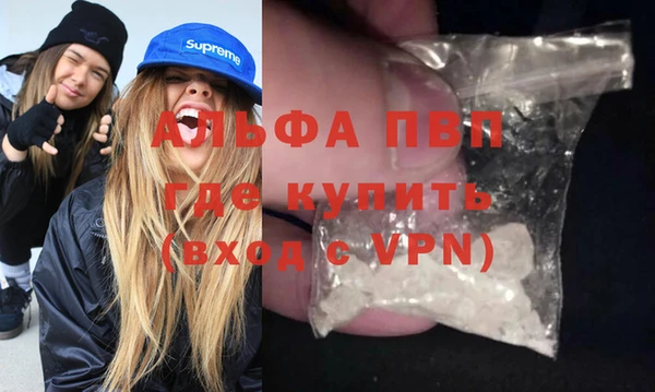 стаф Липки