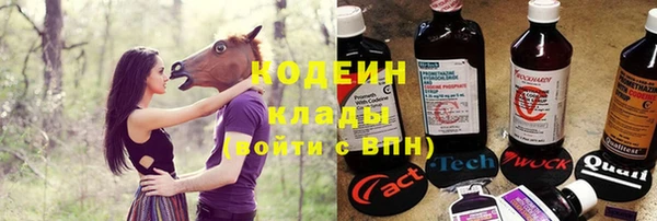 стаф Липки